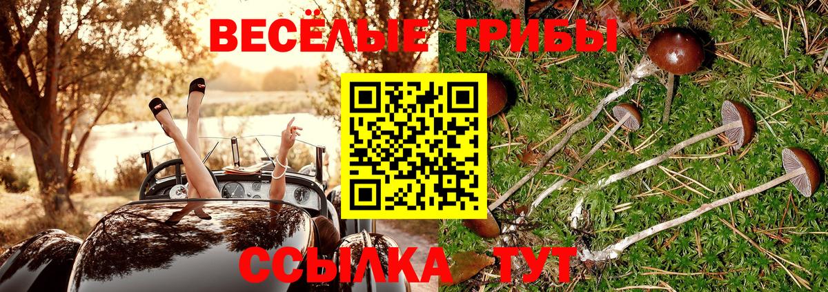 Туймазы  Галлюциногенные грибы мухоморы  как найти   Вход с VPN 
