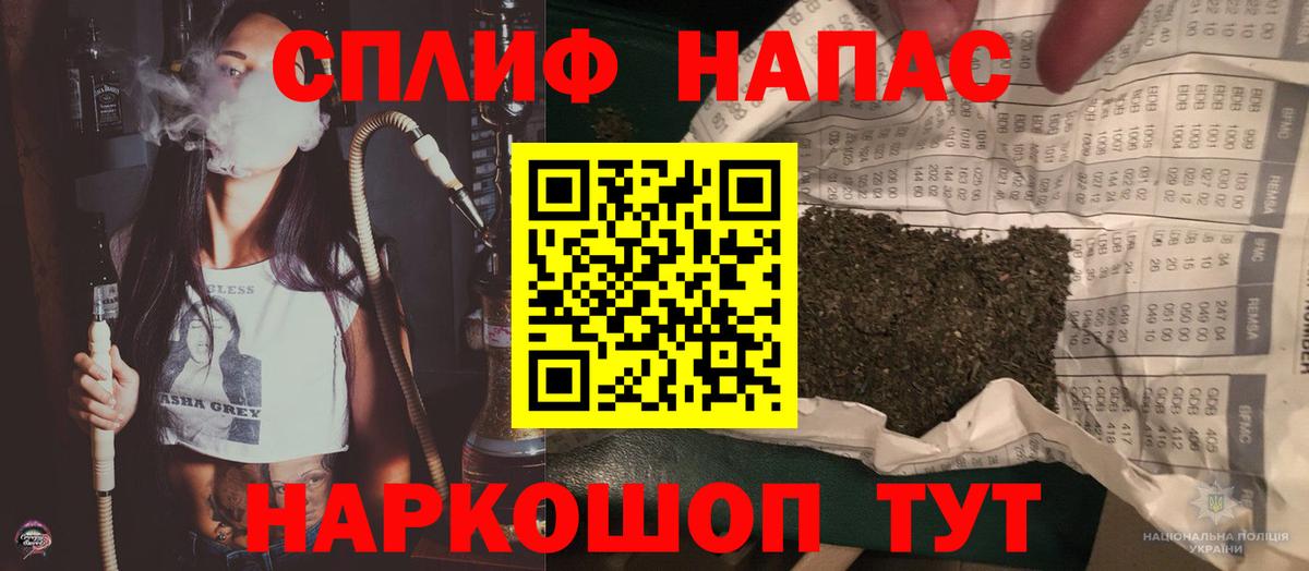 A PVP Туймазы